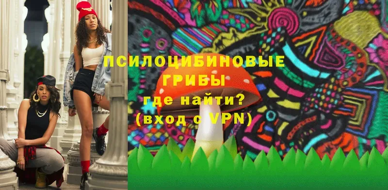 ссылка на мегу   где продают наркотики  Белёв  Галлюциногенные грибы MAGIC MUSHROOMS 